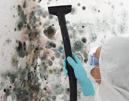 Best Biohazard Mold Removal  in Sherwood, OH